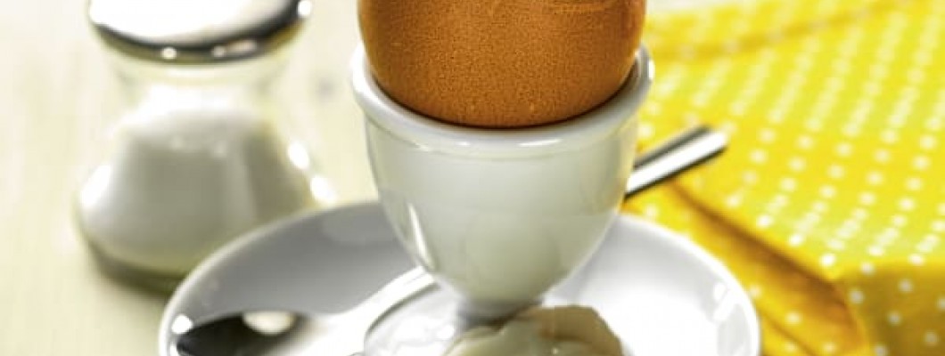 Yumurta en önemli protein kaynagıdır