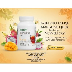MANGO EJDER MEYVELİ HERBALİFE ÇAYI